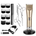 BuySShow Professional Hair Clippers for Men and Babies Quiet Clippers Cordless Haircut kit with 2 Scissors 1 Hair Comb Charging Dock Self Hair Cutting System