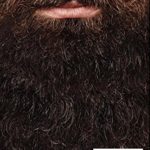 The Ultimate Beard Care Manual: Beard Styles And Grooming Essentials (Trimmers and Beard Oil) To Transform Ordinay Wiskers Into Man-tastic Facial Hair Fashion