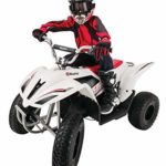 Razor Dirt Quad 500 – 36V Electric 4-Wheeler ATV for Teens and Adults Up to 220 lbs