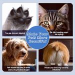 Professional Dog Paw Trimmer Electric, Pet Paw Trimmer with LED Light, Pet Hair Clippers Rechargeable Low Noise, Grooming Shaver for Dogs Cats Eyes Face Ears Feet Rump Hair, Waterproof, Cordless